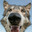 hinix's Avatar