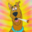 Zoinks avatar