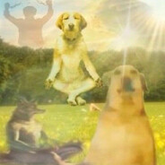 Professional Gambler