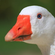 MightyGoose