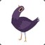 purple bird