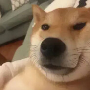 敢于创新，勇攀高峰