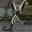 ninjakitten23 avatar