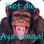 Piet die Ayabonga