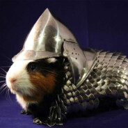 knight hamster 84