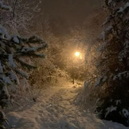 𝐍𝐨 𝐟𝐮𝐧🌼