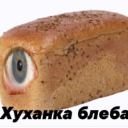Xlebus
