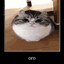 Onyx
