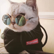 赛点不急我先保把狙