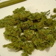 BuFu^  Павел Первая любовь