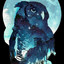 NightOwl