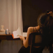 %COLOR(FF1CAE)朽木的春