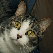 Disappointment - steam id 76561197961368880