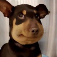 社会主义接班人