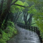Peaceful Mode