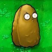 渴望成为站神666