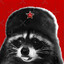 Chief_Racoon