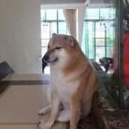 这一蹲让人唠一辈子