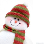 кунфу падла