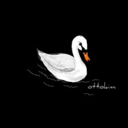 笤帚疙瘩旋死我