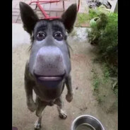 igorkasak19 - steam id 76561199880281500