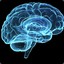 In my brain, it means FEED!!
