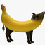 Kabanana