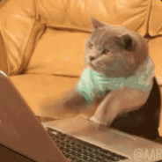 Zywoo的点头小将