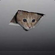 Ceiling Cat's avatar