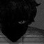 sower666