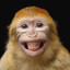 Munkey