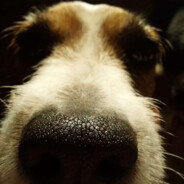 jukka:) - steam id 76561199418330141