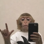mavp's avatar