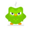 The Duolingo Owl