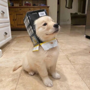 阳光明媚的童桑