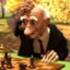 ElderGaming