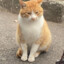 zhengzheng