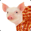 Bacon Pig