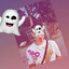 mshka_s26