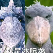 练气解放无双斩