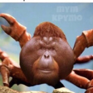 адмiн кейс-батл