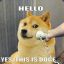 Hello? Yes. This is Doge