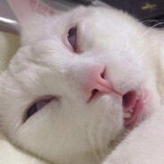 超级无敌狂暴爆炸牛牛