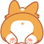 KokaQ