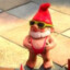 Mr.Gnome