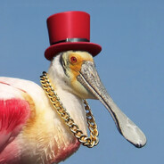 spoonbill wit da cuban