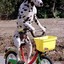 cachorro de bicicleta