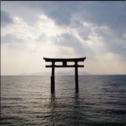 さすらいの饅頭くん