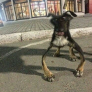 Генерал гатс