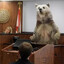 Bear Witness